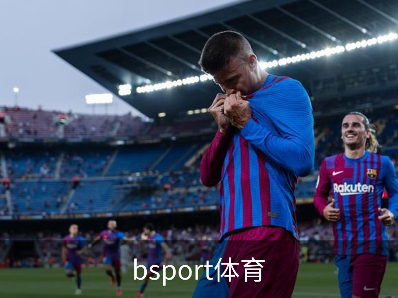 bsport体育品牌故事